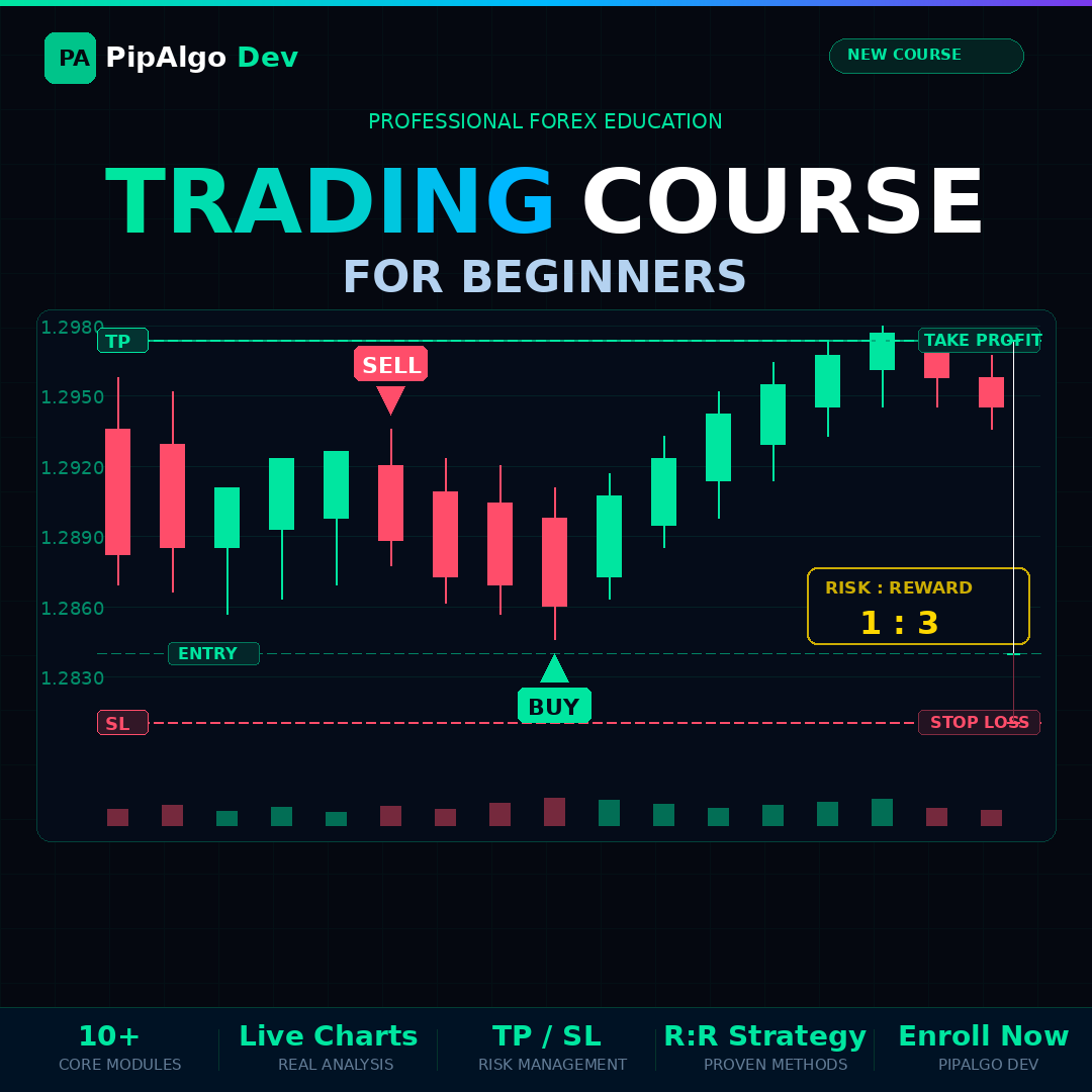 Beginners Forex Trading Course